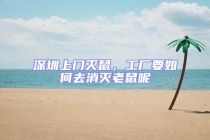 深圳上門(mén)滅鼠，工廠要如何去消滅老鼠呢