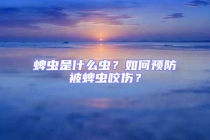 蜱蟲(chóng)是什么蟲(chóng)？如何預(yù)防被蜱蟲(chóng)咬傷？