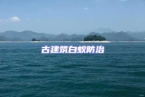 古建筑白蟻防治