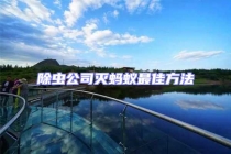 除蟲公司滅螞蟻?zhàn)罴逊椒? uk-img class=