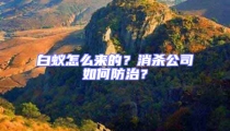 白蟻怎么來(lái)的？消殺公司如何防治？