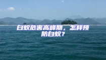 白蟻危害高峰期，怎樣預(yù)防白蟻？