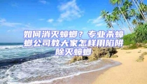 如何消滅蟑螂？專業(yè)殺蟑螂公司教大家怎樣用陷阱除滅蟑螂