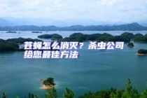 蒼蠅怎么消滅？殺蟲公司給您最佳方法