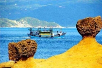 殺蟲(chóng)公司如何幫酒店殺蟲(chóng)滅鼠