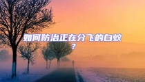 如何防治正在分飛的白蟻？