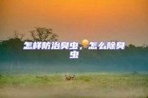 怎樣防治臭蟲，怎么除臭蟲