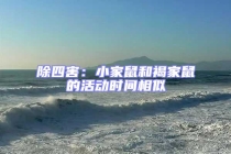 除四害：小家鼠和褐家鼠的活動(dòng)時(shí)間相似