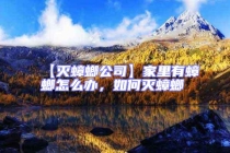 【滅蟑螂公司】家里有蟑螂怎么辦，如何滅蟑螂