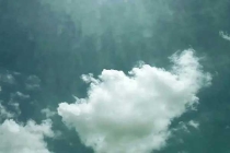 殺蟲公司分享學(xué)會正確辨別螞蟻才能快速滅螞蟻