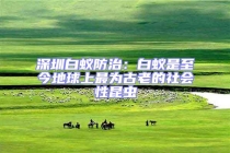 深圳白蟻防治：白蟻是至今地球上最為古老的社會(huì)性昆蟲