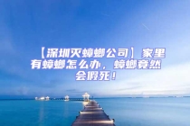 【深圳滅蟑螂公司】家里有蟑螂怎么辦，蟑螂竟然會假死！