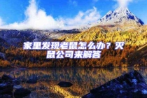 家里發(fā)現(xiàn)老鼠怎么辦？滅鼠公司來(lái)解答