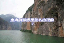 室內(nèi)的蟑螂是怎么出現(xiàn)的？