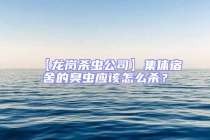 【龍崗殺蟲公司】集體宿舍的臭蟲應(yīng)該怎么殺？