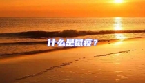 什么是鼠疫？