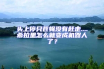 頭上停只蒼蠅沒有趕走....希拉里怎么就變成機器人了？