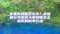 家里有蟑螂怎么辦？殺蟑螂公司告訴大家蟑螂怎么消滅的簡(jiǎn)單方法
