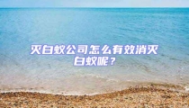 滅白蟻公司怎么有效消滅白蟻呢？