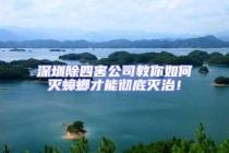 深圳除四害公司教你如何滅蟑螂才能徹底滅治！