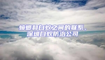 蟑螂和白蟻之間的聯(lián)系，深圳白蟻防治公司