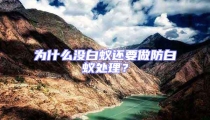 為什么沒白蟻還要做防白蟻處理？