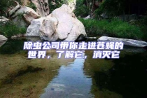 除蟲公司帶你走進(jìn)蒼蠅的世界，了解它，消滅它