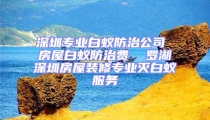 深圳專業(yè)白蟻防治公司 房屋白蟻防治費(fèi)  羅湖深圳房屋裝修專業(yè)滅白蟻服務(wù)