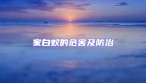家白蟻的危害及防治