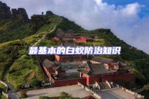 最基本的白蟻防治知識(shí)