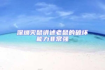 深圳滅鼠講述老鼠的破壞能力非常強(qiáng)