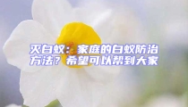 滅白蟻：家庭的白蟻防治方法？希望可以幫到大家