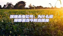 深圳殺蟲公司：為什么說蟑螂是當(dāng)今防治難度