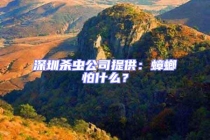 深圳殺蟲(chóng)公司提供：蟑螂怕什么？