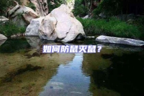 如何防鼠滅鼠？