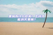 果蠅有什么危害？怎樣才能消滅果蠅？