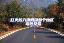 紅火蟻入侵我國(guó)多個(gè)地區(qū) 毒性及強(qiáng)