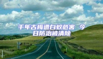 千年古梅遭白蟻危害 今日防治被清除