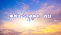 木板生小孔冒粉末，有白蟻？