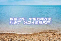 致富之路！中國蚊帳在里約火了 外國人羨慕不已！