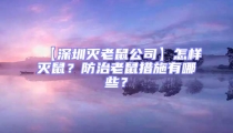 【深圳滅老鼠公司】怎樣滅鼠？防治老鼠措施有哪些？
