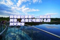 臭蟲(chóng)藏在哪里？--如何殺臭蟲(chóng)，殺蟲(chóng)公司用什么藥劑滅臭蟲(chóng)