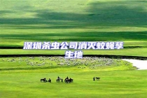 深圳殺蟲公司消滅蚊蠅孳生地