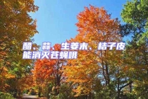 醋、蒜、生姜末、桔子皮能消滅蒼蠅哦