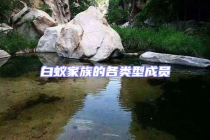 白蟻家族的各類(lèi)型成員