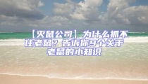 【滅鼠公司】為什么抓不住老鼠？告訴你9個關(guān)于老鼠的小知識