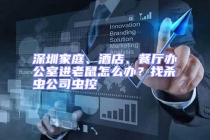 深圳家庭、酒店、餐廳辦公室進(jìn)老鼠怎么辦？找殺蟲公司蟲控