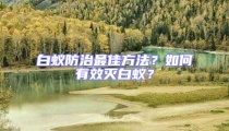 白蟻防治最佳方法？如何有效滅白蟻？