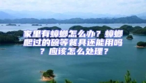 家里有蟑螂怎么辦？蟑螂爬過的碗等餐具還能用嗎？應(yīng)該怎么處理？