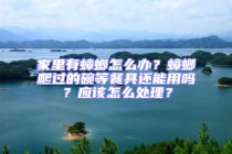 家里有蟑螂怎么辦？蟑螂爬過的碗等餐具還能用嗎？應(yīng)該怎么處理？